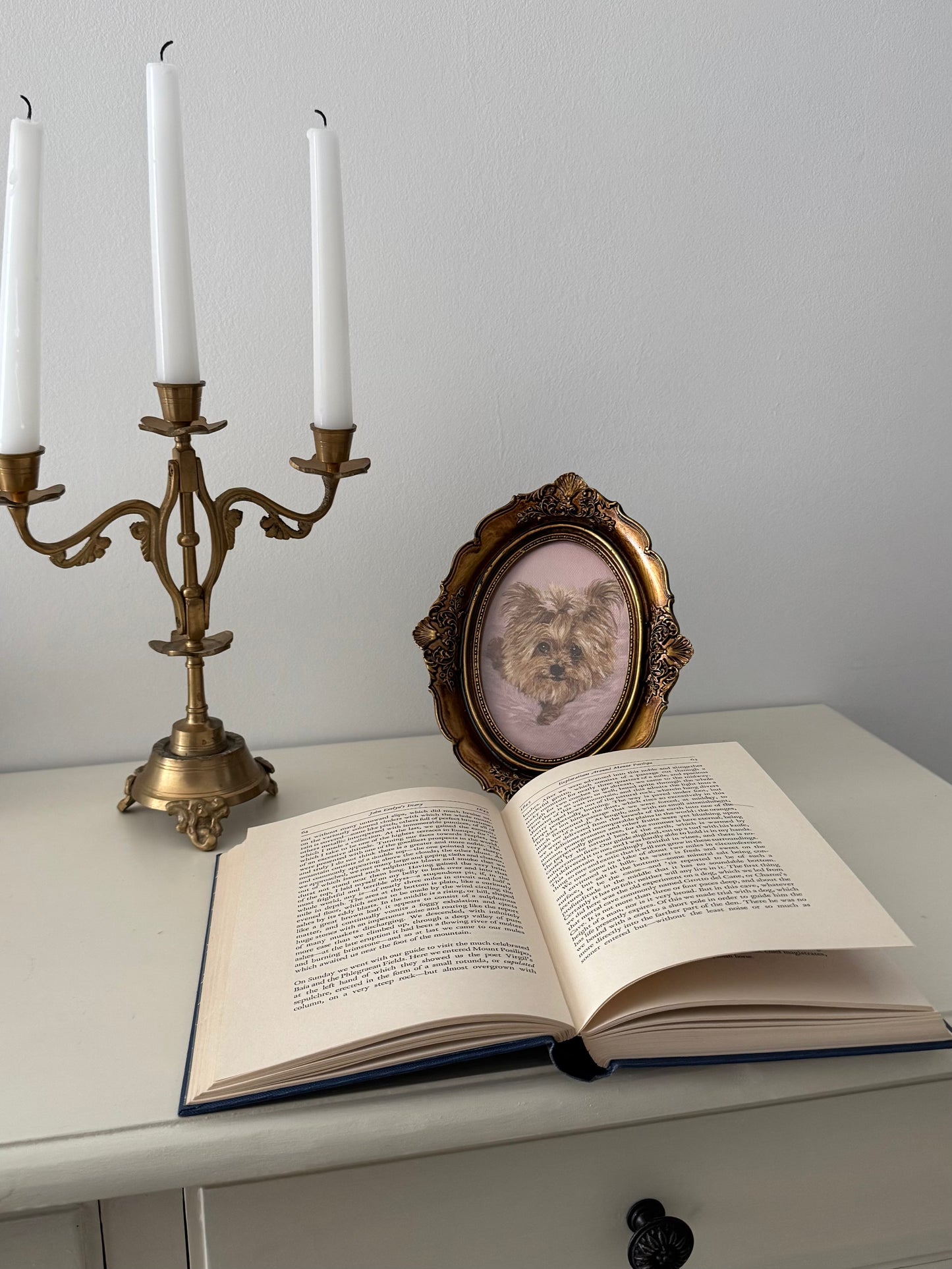 Framed: Pet Portrait Commission